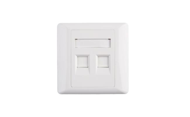 2 Port RJ45 Cat5e Face Plate Wall Socket