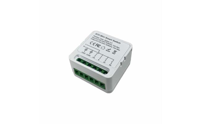 2CH Tuya Wifi Mini Smart Relay Switch