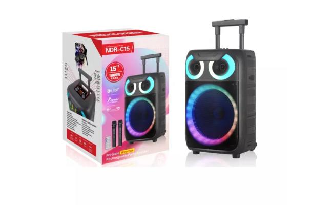 Bluetooth Speaker NOR C15 15'' 60W