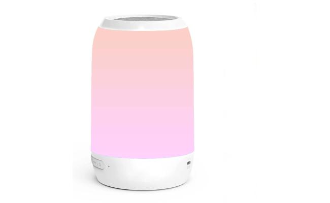 Wireless Portable E-3055 Speaker